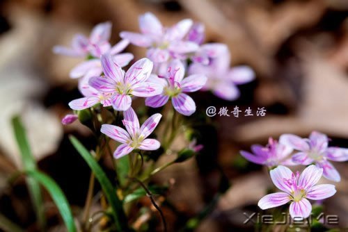 风雨的前方，那是彩虹的方向 (3)