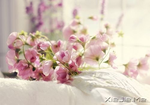 千万不要因为走的太久，而忘记了我们为什么出发 (7)