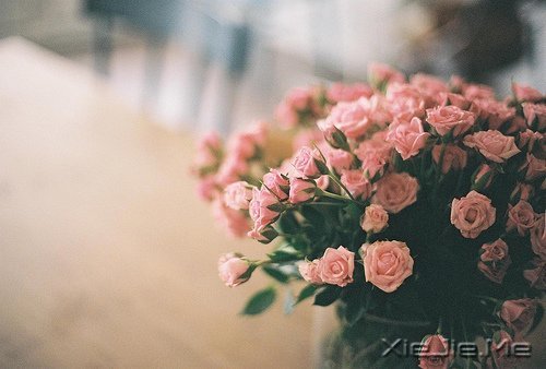 早安心语：面对复杂，保持欢喜 (6)