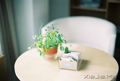 早安心语：面对复杂，保持欢喜 (8)
