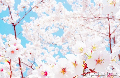 经典语录：50条超美的句子 (1)
