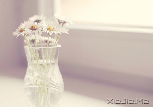 生命，淡然如花就是幸福